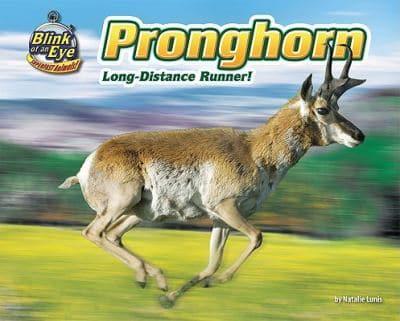 Pronghorn