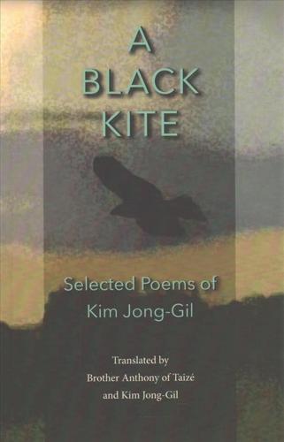 A Black Kite