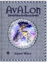 Ghost Wolf (Avalon: Web of Magic #9)