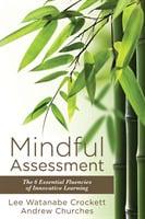 Mindful Assessment