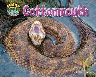 Cottonmouth