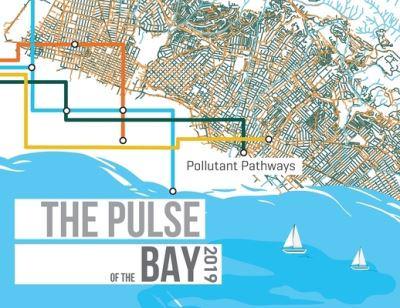 The Pulse of the Bay 2019