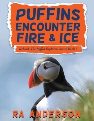 Puffins Encounter Fire and Ice