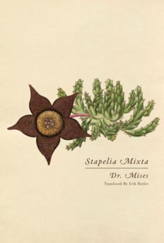 Stapelia Mixta