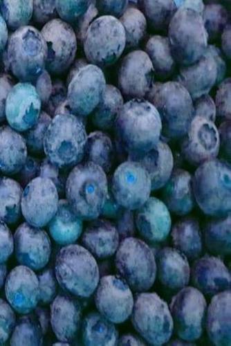 Juicy Blueberries Journal