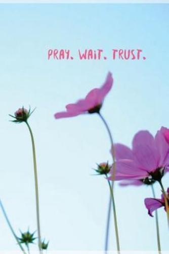 Pray. Wait. Trust.