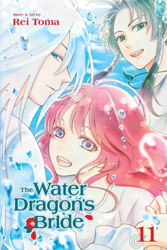 The Water Dragon's Bride. Volume 11