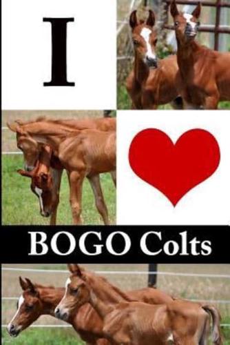 I Love Bogo Colts Journal (Foal Pictures)