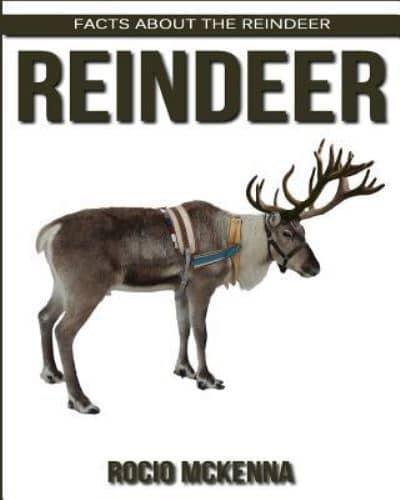 Facts About the Reindeer