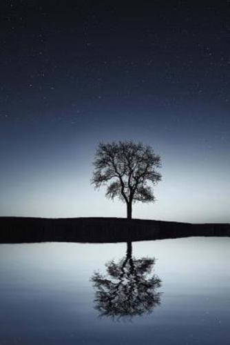 A Tree Mirrored in a Lake Journal