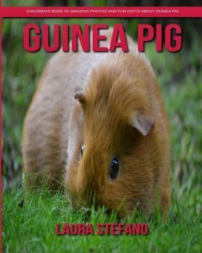 Guinea Pig