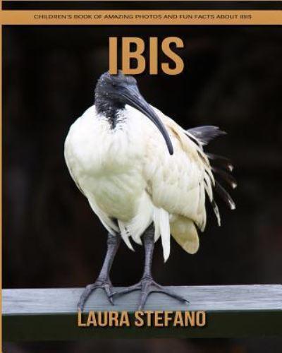 Ibis