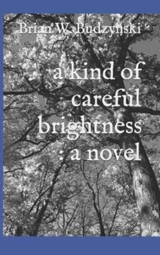 A Kind of Careful Brightness : a novel