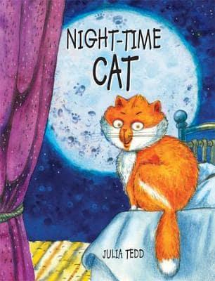 Night-Time Cat