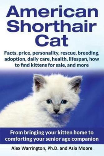 American Shorthair Cat: From bringing your kitten home to comforting your senior age companion