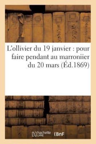 L'ollivier du 19 janvier : pour faire pendant au marroniier du 20 mars