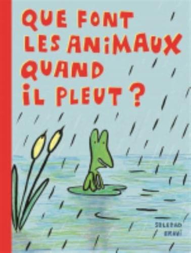 Que Font Les Animaux Quand Il Pleut?