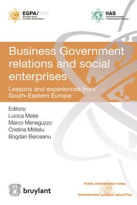 Business Government Relations and Social Enterprises