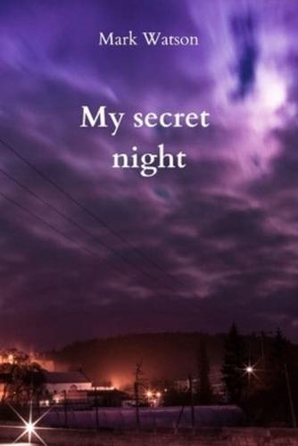 My Secret Night