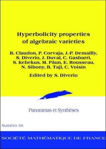 Hyperbolicity Properties of Algebraic Varieties