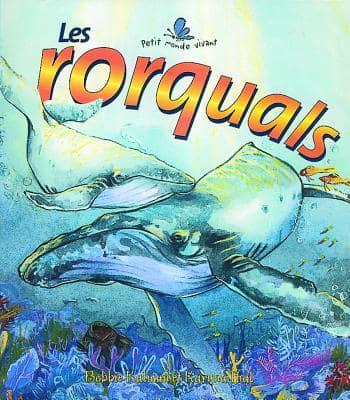 Les Rorquals