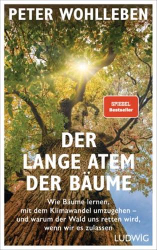 Der Lange Atem Der Baume