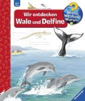 Wieso? Weshalb? Warum?, Band 41: Wir entdecken Wale und Delfine