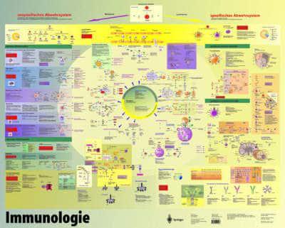 Poster Immunologie