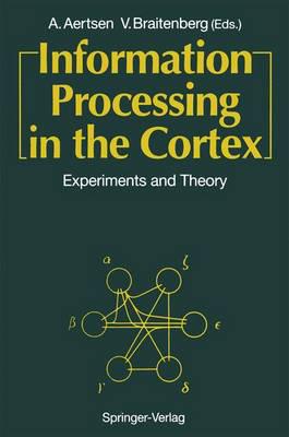 Information Processing in the Cortex