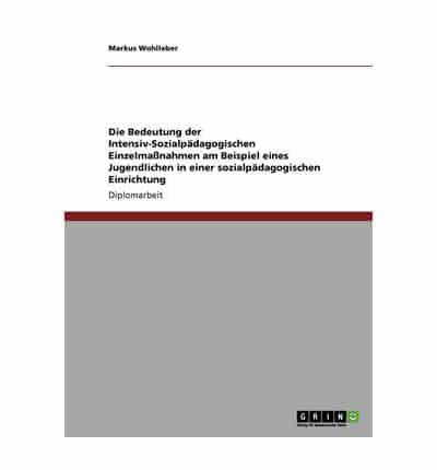 Die Bedeutung der Intensiv-Sozialpädagogischen Einzelmaßnahmen am Beispiel eines Jugendlichen in einer sozialpädagogischen Einrichtung