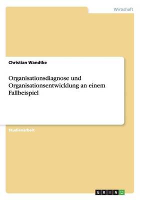 Organisationsdiagnose und Organisationsentwicklung an einem Fallbeispiel