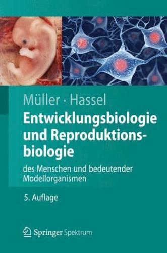 Entwicklungsbiologie Und Reproduktionsbiologie Des Menschen Und Bedeutender Modellorganismen