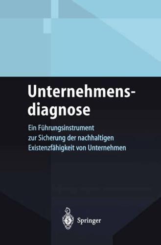 Unternehmensdiagnose