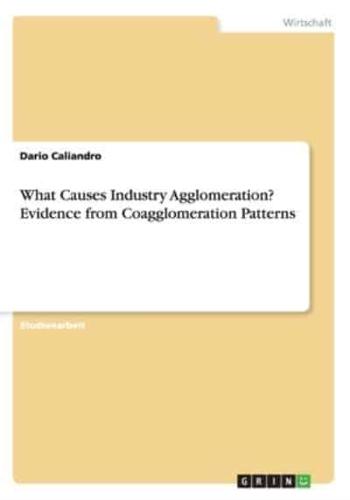 What Causes Industry Agglomeration? Evidence from Coagglomeration Patterns