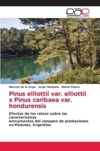 Pinus Elliottii Var. Elliottii X Pinus Caribaea Var. Hondurensis