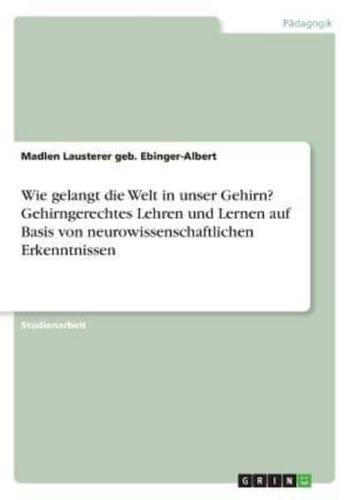 Wie Gelangt Die Welt in Unser Gehirn? Gehirngerechtes Lehren Und Lernen Auf Basis Von Neurowissenschaftlichen Erkenntnissen