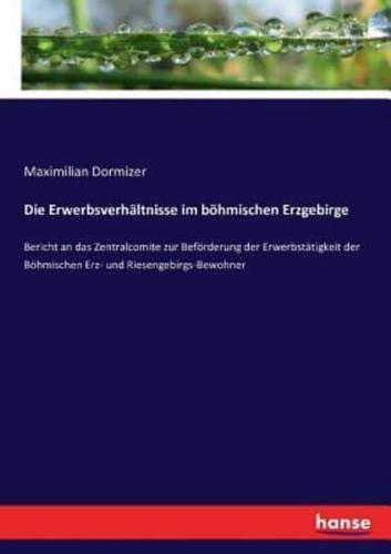Die Erwerbsverhältnisse im böhmischen Erzgebirge :Bericht an das Zentralcomite zur Beförderung der Erwerbstätigkeit der Böhmischen Erz- und Riesengebirgs-Bewohner