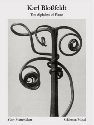 Karl Blossfeldt