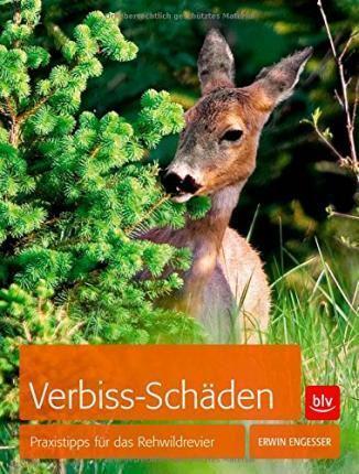 Engeßer, E: Verbiss-Schäden