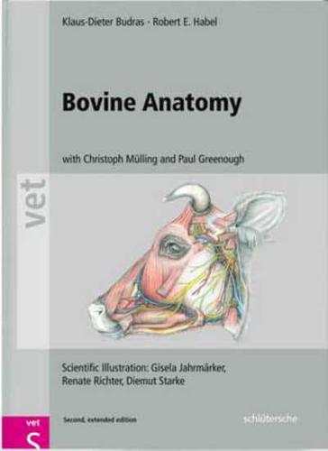 Bovine Anatomy