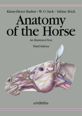 Anatomy of the Horse: An Illustrated Text, Third Edition