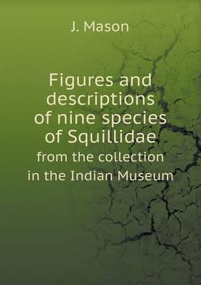 Figures and Descriptions of Nine Species of Squillidae from the Collection in the Indian Museum