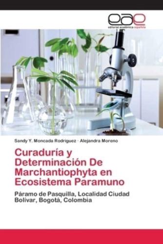 Curaduría y Determinación De Marchantiophyta en Ecosistema Paramuno