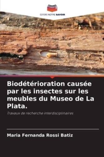 Biodétérioration Causée Par Les Insectes Sur Les Meubles Du Museo De La Plata.