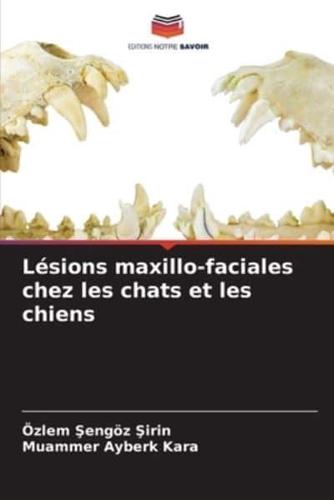 Lésions Maxillo-Faciales Chez Les Chats Et Les Chiens