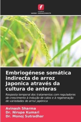 Embriogénese Somática Indirecta De Arroz Japonica Através Da Cultura De Anteras