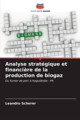 Analyse Stratégique Et Financière De La Production De Biogaz