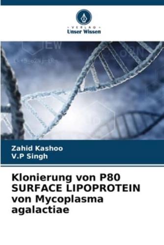 Klonierung Von P80 SURFACE LIPOPROTEIN Von Mycoplasma Agalactiae