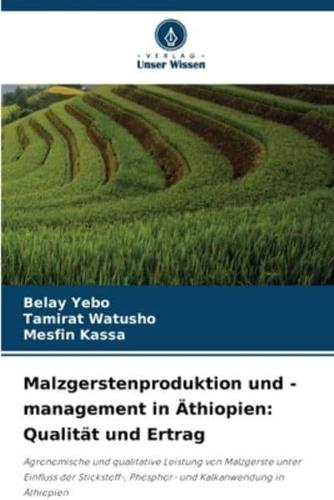 Malzgerstenproduktion Und -Management in Äthiopien