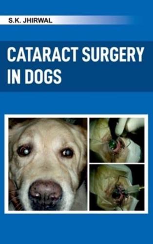Cataract Surgery in Dogs